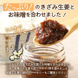 【ふるさと納税】味噌 生姜 セット 生姜味噌 6本セット 送料無料 画像2