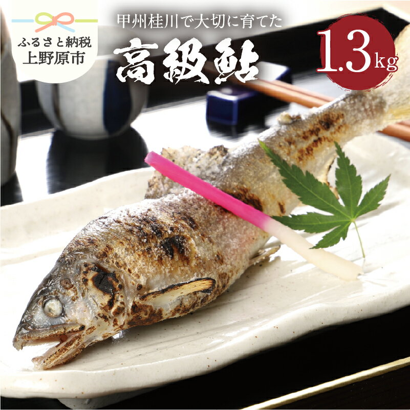 【ふるさと納税】魚 川魚 鮎 あゆ 桂川 甲州桂川の鮎(Aセット) 1.3kg (14〜16尾) 送料無料 ※沖縄県、離島不可