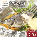 【ふるさと納税】 魚 川魚 やまめ ます セット ギフト 和食 鮮魚 清流 塩焼き 甘露煮 セット 桂川 詰め合わせ 贈答 贈り物 送料無料 ※沖縄県、離島不可...