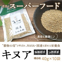 【ふるさと納税】 雑穀 スーパーフード「上野原キヌア」山梨県産 精白粒40g入り×10袋セット 自然派 無農薬 送料無料 画像1