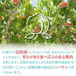 【ふるさと納税】 【2022年 先行予約】 訳あり 桃 山梨県産 約2kg 甘い 完熟桃 フルーツ もも ピーチ 送料無料 画像2