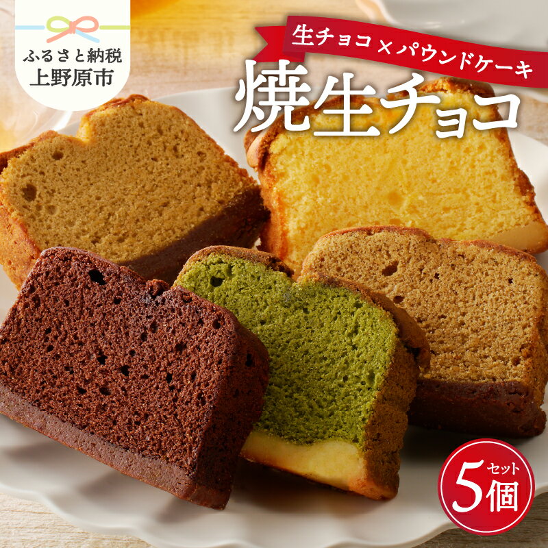 ふるさと納税父の日＼数量限定／新触感焼生チョコ5個セットスイーツ洋菓子焼き菓子デザート新触感しっとり