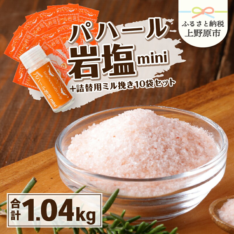 [父の日] 岩塩 塩 パハール岩塩 mini 天然 無添加 旨み 詰替用 ミル挽粉末 100g 10袋 贈り物 ギフト プレゼント 送料無料 山梨県 上野原市