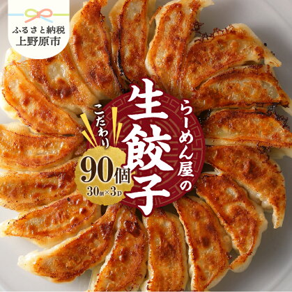 冷凍生餃子 餃子 30個×3パック タレ付 一品料理 人気 一徹堂 食感 歯ごたえ 中華料理 冷凍 贈答 贈り物 プレゼント 送料無料 山梨県 上野原市