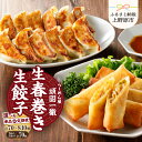 【ふるさと納税】 一徹ラーメン 餃子×60個 春巻き×10個 計70個 約1.6kg 定期便 選べる 3ヶ月 6ヶ月 12ヶ月 隔月3回 隔月6回 大容量冷凍生...