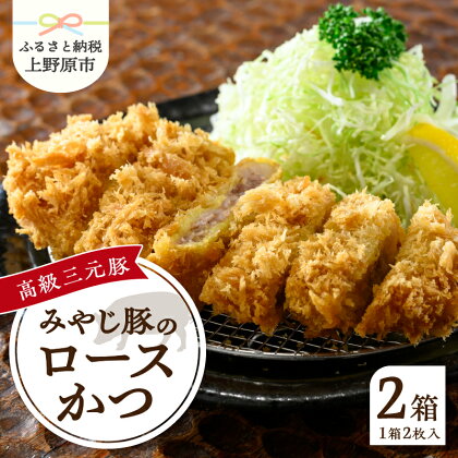 とんかつ みやじ豚 ロース かつ 180g×4パック 特選 お惣菜 冷凍 冷凍食品 トンカツ 肉 お弁当 絶品 食事処 あやの 送料無料 山梨県 上野原市