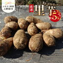 1位! 口コミ数「0件」評価「0」 ◆先行予約◆ ＼山梨県産！数量限定／ 里芋 孫芋 5kg ねっとり やわらか 厳選 期間限定 野菜 化学肥料不使用 農薬不使用 農園直送 ･･･ 