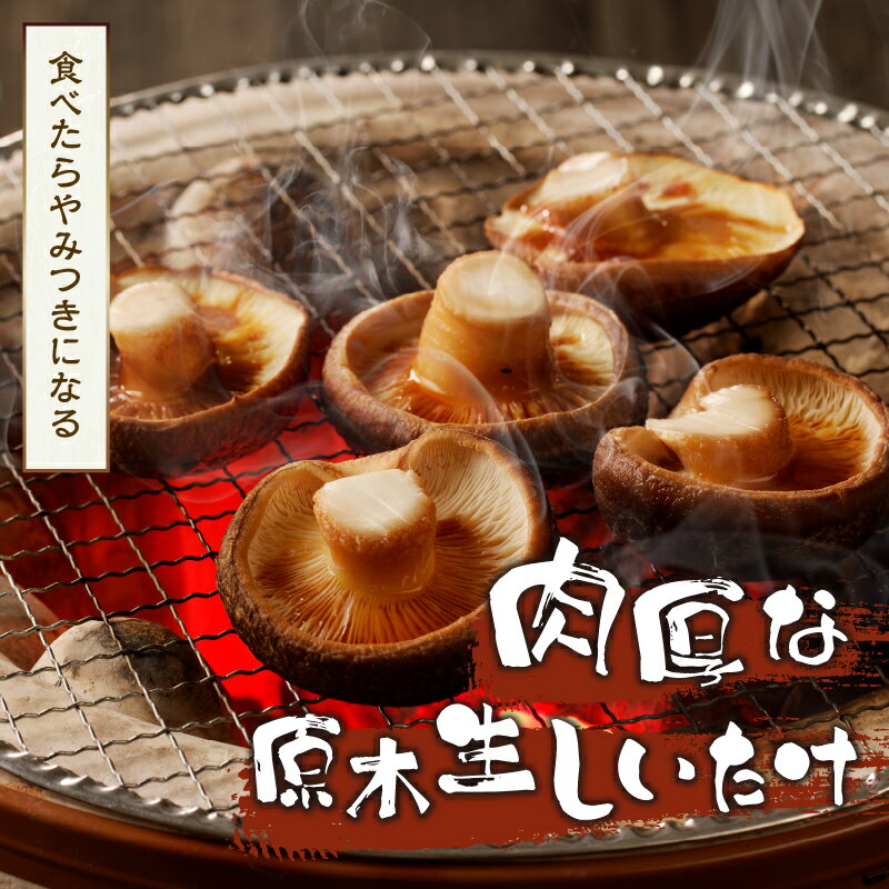 【ふるさと納税】 《数量限定》 生しいたけ しいたけ 椎茸 原木 原木栽培 美味しい 旨味 凝縮 贈答 1箱（900g） 送料無料 山梨県 上野原市