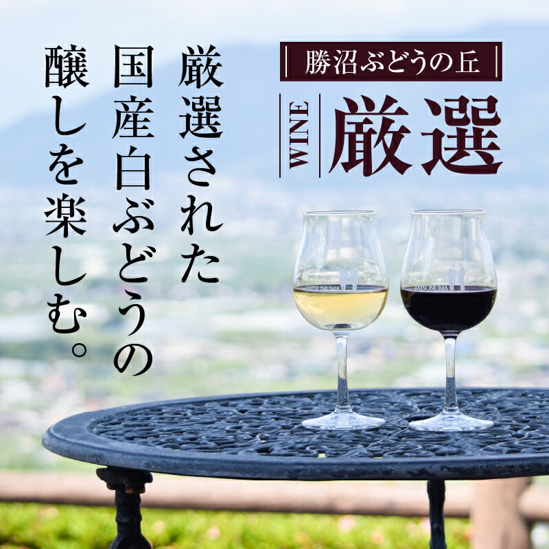 【ふるさと納税】 ワイン 白ワイン 2本 セット 辛口 日本ワイン お酒 花見 誕生日 お盆 記念日 父の日 母の日 敬老の日 ギフト 国産 山梨県産 甲州市 勝沼 勝沼ぶどうの丘 JapanWine Competition2023 金賞 【C4-601】