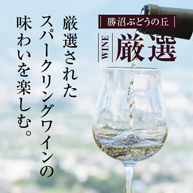 【ふるさと納税】 【本数が選べる】スパークリングワイン 勝沼ぶどうの丘 推奨 ワイン セット 甲州ワイン 日本ワイン 山梨県 甲州市 厳選 母の日 父の日 記念日 ギフト（KBO）