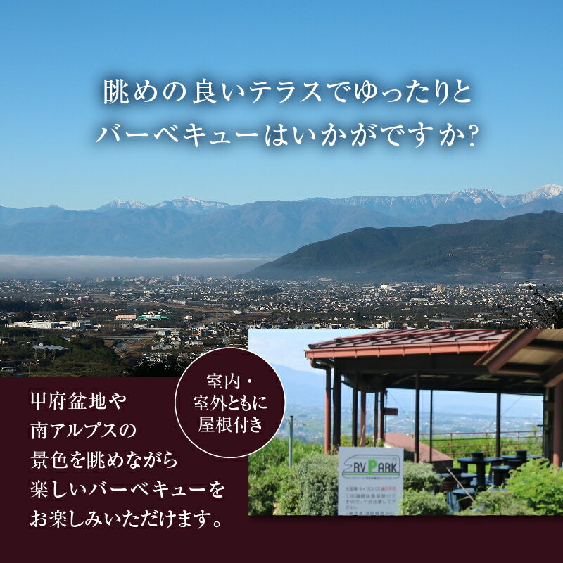 【ふるさと納税】 ぶどうの丘バーベキュー ペア お食事券 山梨県 甲州市 入浴券 勝沼ぶどうの丘 テラス 室内 室外 屋根付き 夜景 甲府盆地 【C-1302】