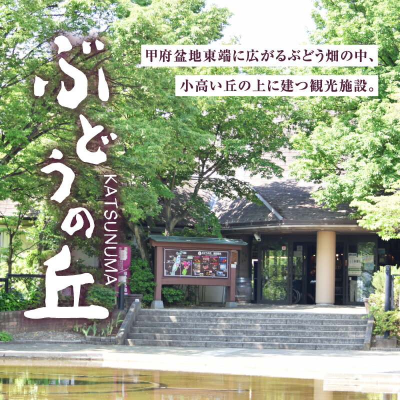 【ふるさと納税】 宿泊券 勝沼ぶどうの丘 ペア B&Bプラン ホテル 宿泊 山梨県 甲州市 勝沼 食事 朝食付 B&B 観光 旅行 【J-1301】その2