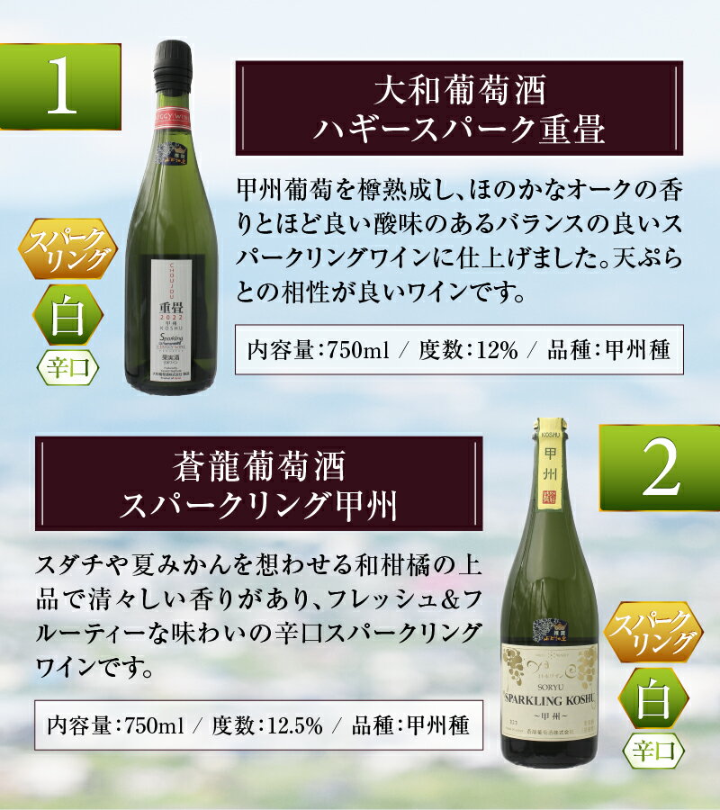 【ふるさと納税】 スパークリングワイン 2本 セット 11本から自由に 選べる 甲州市 赤 白 ワイン 日本ワイン 辛口 甘口 母の日 父の日 記念日 ギフト 山梨 【B17-601】