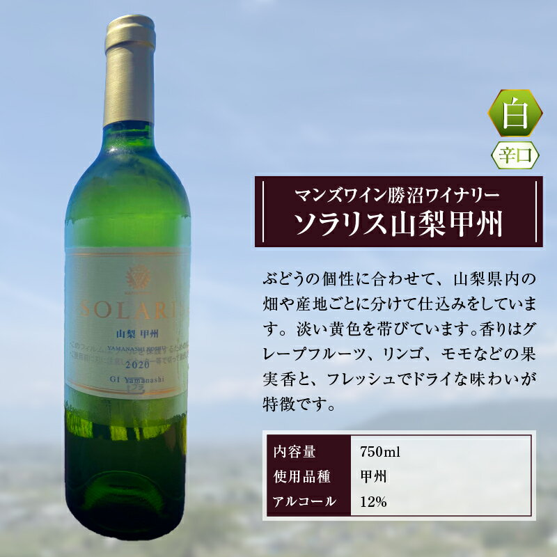 【ふるさと納税】 ワイン ソラリス 白ワイン 1本 甲州 シャトー勝沼 750ml 記念日 ギフト 国産 山梨県産 甲州市 勝沼 勝沼ぶどうの丘 (KBO) 【B15-603】