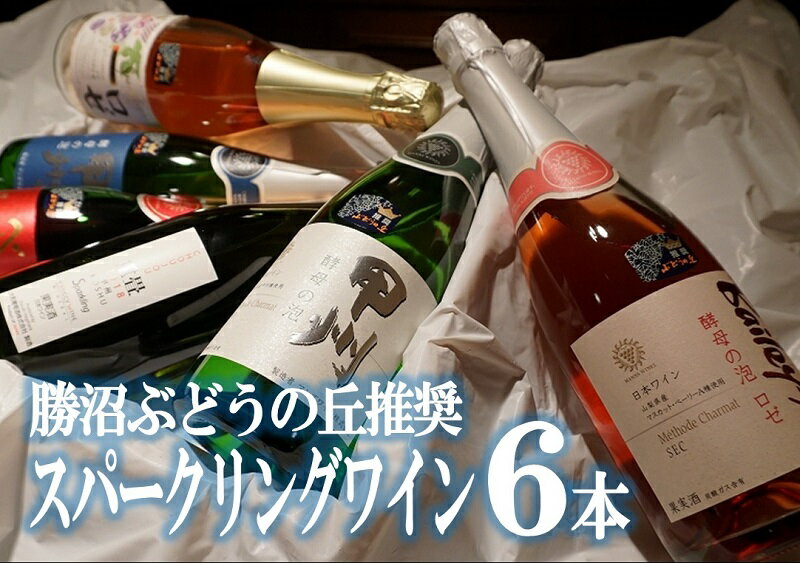 【ふるさと納税】F-603スパークリングワイン6本セット