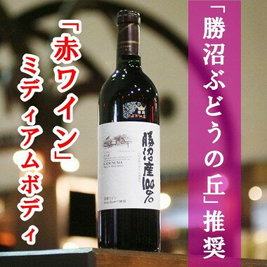 【ふるさと納税】B-653.勝沼ぶどうの丘推奨赤ワイン(ミディアムボディ)1本