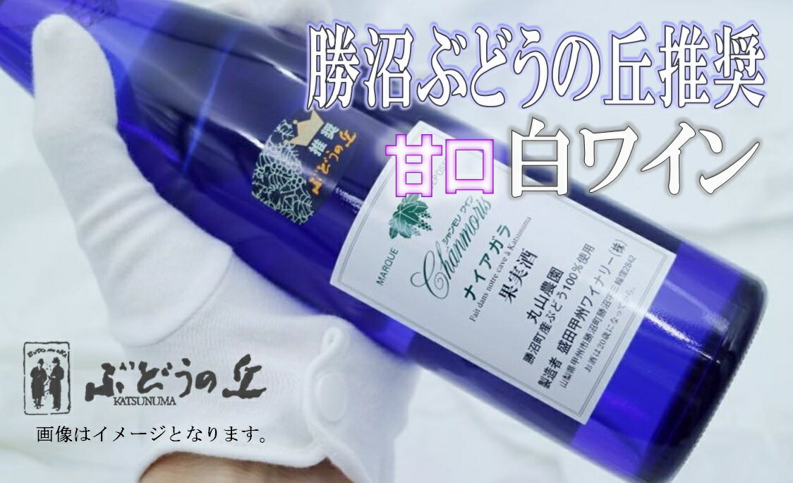 【ふるさと納税】B-664.勝沼ぶどうの丘推奨白ワイン(甘口)1本