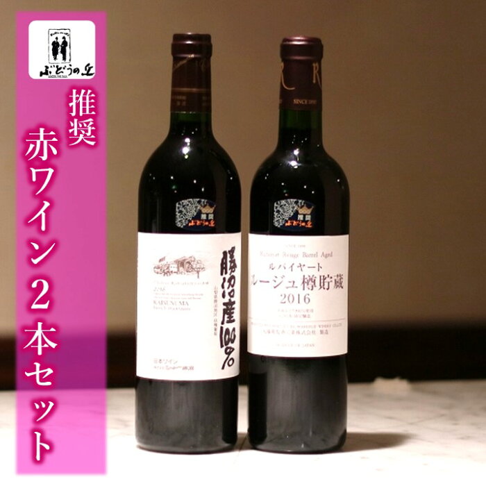 【ふるさと納税】B2-615 勝沼ぶどうの丘推奨赤ワイン 2本セット