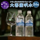 【ふるさと納税】 大菩薩明水 24本 セット ミネラルウォーター 飲料類 大菩薩 日本百名山 水 軟水 天然水 美味しい 自然 美味しい 飲料水 ペットボトル セット 山梨県 甲州市 【B-705】