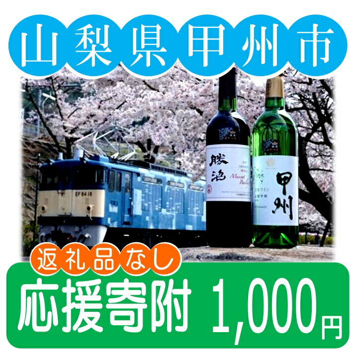 山梨県甲州市 応援寄附 1口 1,000円 [返礼品なし] ショップ買いまわり 大感謝祭 楽天スーパーセール ブラックフライデー 買い回り [A1-1000]