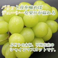 【ふるさと納税】パリッとジューシー 甲州市産 シャインマスカット 1.8kg 以上 3房 ～ 4房 【B15-420】【2023年先行予約】送料無料 果物 くだもの フルーツ ぶどう 葡萄 シャインマスカット 山梨県 甲州市 1kg以上 山梨 やまなし･･･ 画像1