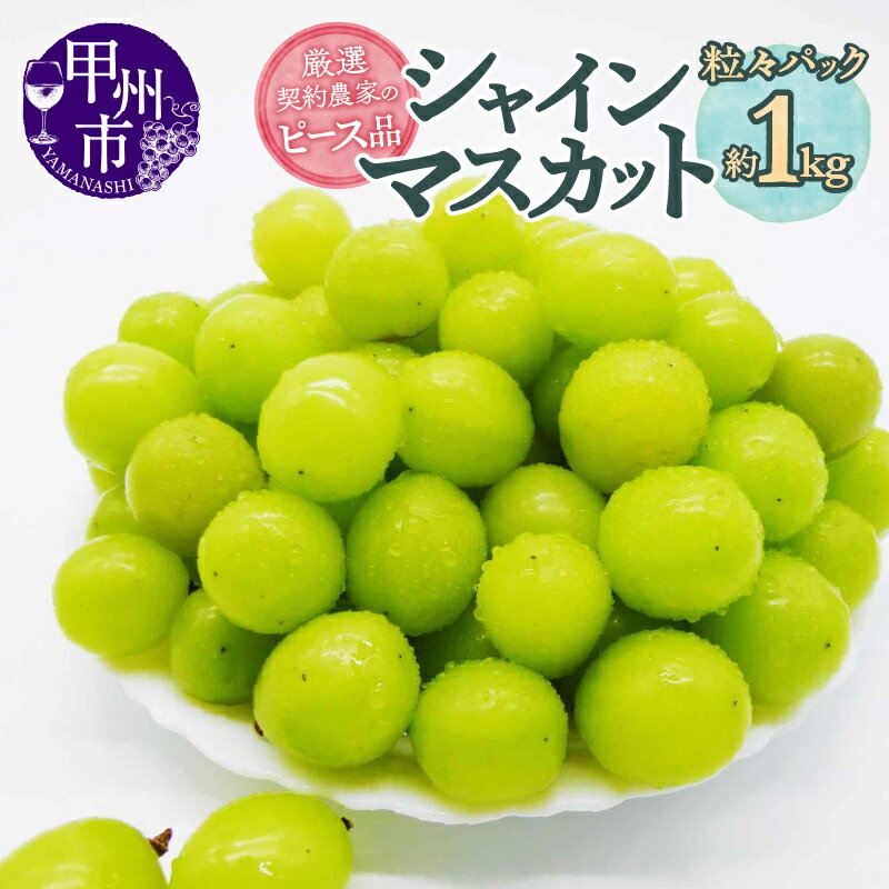 シャインマスカット 約1kg 山梨県 甲州市産 冷蔵 クール 期間限定 8月 9月 10月 発送 粒々パック ピース品 2024年発送 新鮮 果物 くだもの フルーツ ぶどう 葡萄 山梨 厳選 社員マスカット (SFL) 