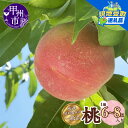【ふるさと納税】 【楽天限定】 もも 約 2kg 6~8玉 果物 現地受取 引換券 甲州市産 厳選 2025年 白鳳系 白桃系 サンセイフルーツランド フルーツ 桃 モモ 甘い 果実 くだもの 数量限定 期間限定 家庭用 贈答 ギフト 盛り合わせ 7月 山梨県 甲州市 (SFL) 【B-431(os)】