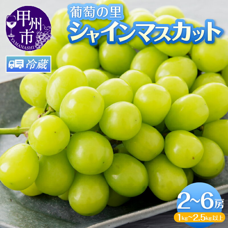 シャインマスカット 山梨 選べる内容量 2房 1kg以上 3〜5房 約2kg 4〜6房 2.5kg以上 山梨県 ぶどう 葡萄 ブドウ マスカット 期間限定 果物 くだもの 朝採れ 数量限定 人気 種無し 2025年発送 旬 産地直送 果実 贈答 ギフト 農家 社員マスカット (HK)