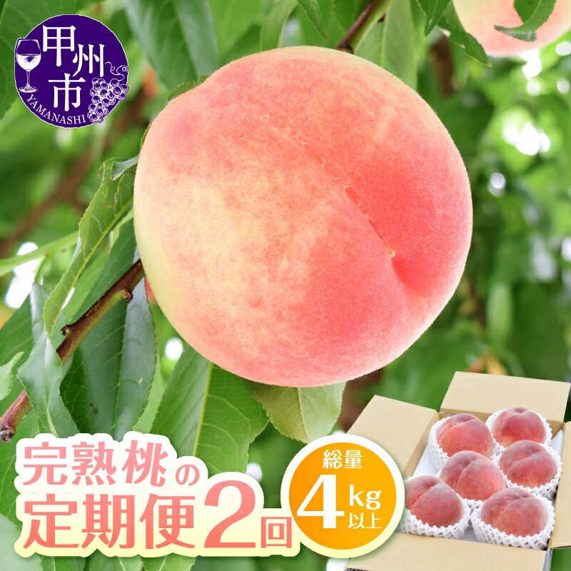 【ふるさと納税】 桃 もも 2kg 5～8玉 収穫量 日本一