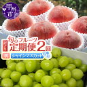 【ふるさと納税】 定期便 全2回 桃 2kg シャインマスカ