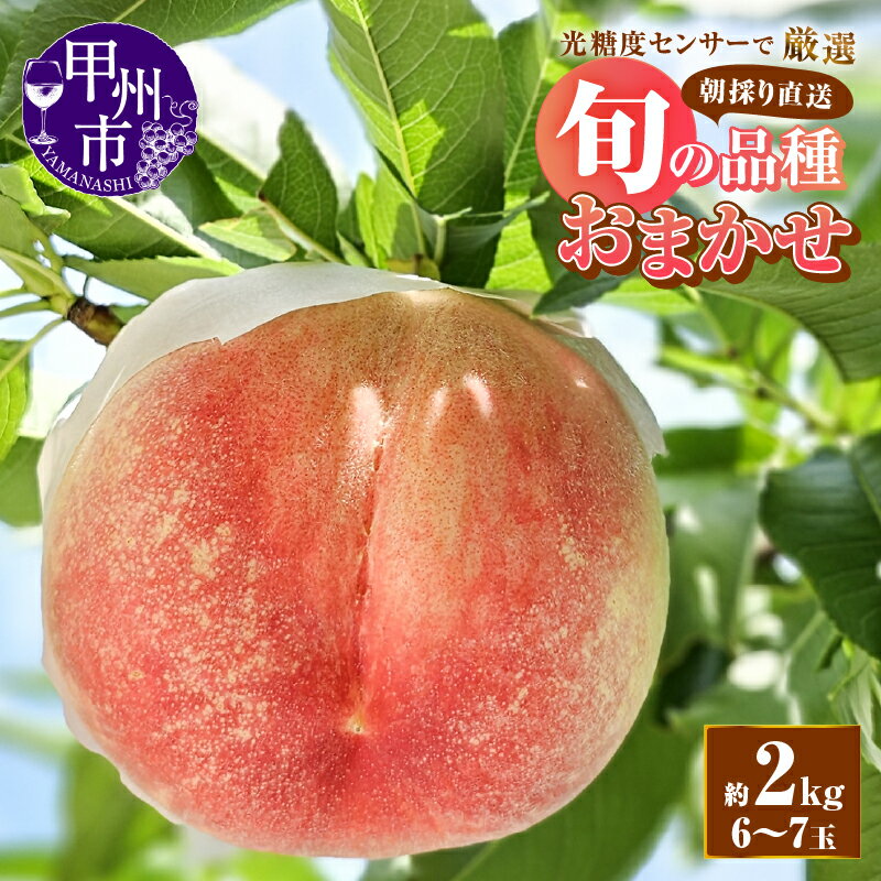 【ふるさと納税】 もも 約2kg 6～7玉 果物 桃 フルーツ 果実 大玉 朝採り 直送 厳選 人気 新鮮 品種おまかせ 2025年発送 期間限定 数量限定 7月 8月 発送 ギフト 贈答 家庭用 甲州市 山梨 （AF） 【B-450】