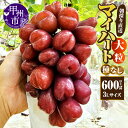 【ふるさと納税】 マイハート ぶどう 種無し 大粒 600g以上 3Lサイズ 1房 果物 フルーツ 葡萄 赤ぶどう シャインマスカット系 甘い 朝採れ 産地直送 2025年発送 10月 発送 期間限定 数量限定 贈答 ギフト 山梨県 甲州市 (AF) 【B11-450】