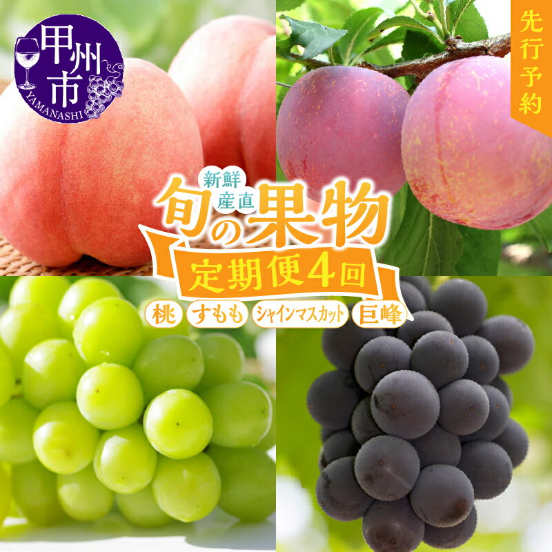 【ふるさと納税】 フルーツ 定期便 桃 シャインマスカット 巨峰 すもも 甲州市 産地直送 ぶどう 蒲萄 4回お届け 完熟 新鮮 美味しい 瑞々しい 甘味 大玉 大房 山梨県 【2023年先行予約】【甲斐の郷ファーム】（KSF）【E-106】のサムネイル