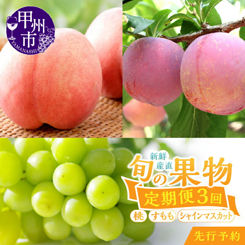 【ふるさと納税】 フルーツ 定期便 桃 シャインマスカット すもも 甲州市 産地直送 ぶどう 蒲萄 3回お届け 完熟 新鮮 美味しい 瑞々しい 甘味 大玉 大房 山梨県 【2023年発送】【甲斐の郷ファーム】（KSF）【D-126】のサムネイル