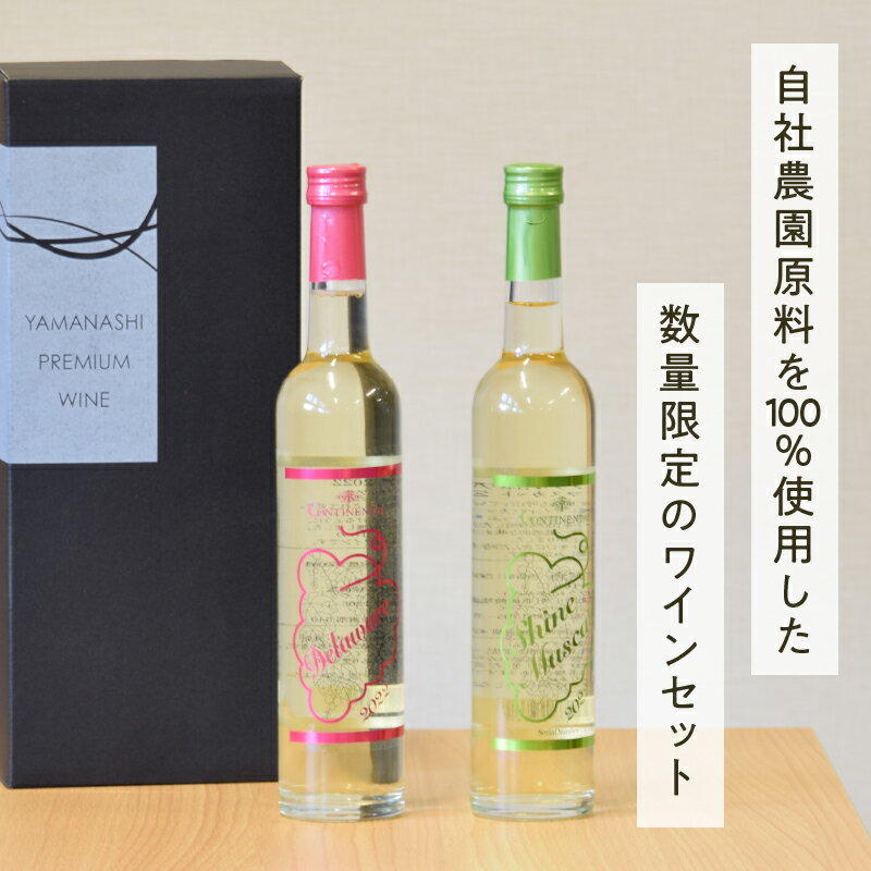 【ふるさと納税】 ワイン 甲州市 Premium ワインギフト 白 500ml×2本 シャインマスカットワイン デラウェアワイン 2022 山梨 数量限定 シリアルナンバー入り （HO） 【B16-775】