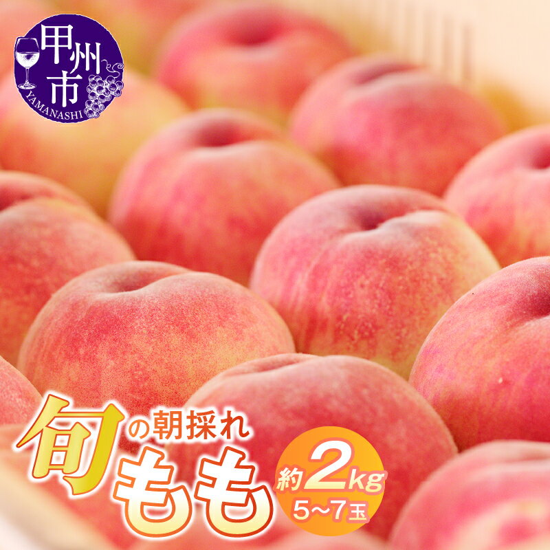【ふるさと納税】 桃 特選 産地直送 新鮮 約2kg 5玉～7玉 2024年発送 フルーツ 果物 朝どれ 旬 夏 おいしい プレゼント 贈答 山梨県 甲州市 ギフト （HO） 【B-411】のサムネイル