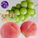 【ふるさと納税】 フルーツ 定期便 桃 約2kg シャインマスカット 1.2kg 果物 くだもの 果実 完熟 新鮮 甘味 産地直送 特産品 2025年発送 数量...