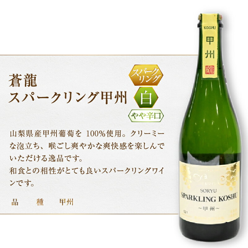 【ふるさと納税】 ワイン 甲州市 スパークリングワイン マディルージュと甲州 セット 飲み比べ 日本 甲州 スパークリング 山梨県 2本 勝沼 蒼龍葡萄酒 母の日 父の日 記念日 ギフト (MG)【B2-666】