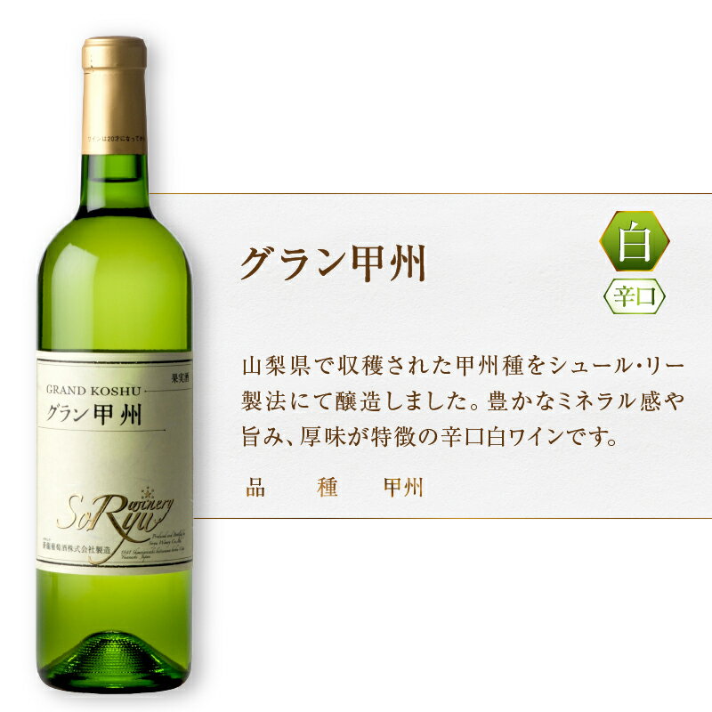 【ふるさと納税】 ワイン 白 720ml 3本 セット 白ワイン 辛口 厳選 国産 蒼龍葡萄酒 グラン甲州 トラディショナル・リッチ・テイスト甲州 勝沼の甲州樽熟成 おすすめ 飲み比べ 誕生日 記念日 父の日 母の日 山梨県 甲州市 勝沼 （MG） 【B19-489】