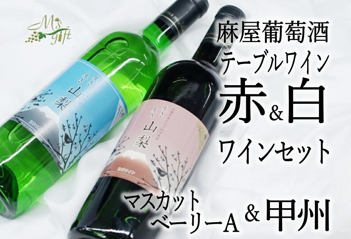 【ふるさと納税】B-696麻屋葡萄酒テーブルワイン赤白2本セット(MG)