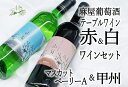 【ふるさと納税】 麻屋葡萄酒 テーブルワイン 赤 白 2本 セット 日本ワイン 甲州ワイン 赤ワイン 白ワイン 和食 甲州種 マスカットベリーA (MG)【B-696】･･･