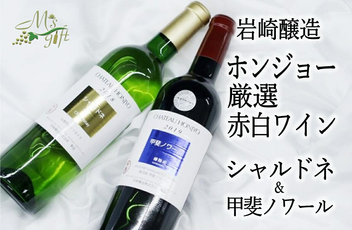 【ふるさと納税】C-681ホンジョーワイン厳選赤白ワイン2本セット(MG)