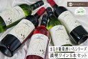  甲州市 まるき 葡萄酒 いろシリーズ 満喫 5本セット 日本ワイン 甲州ワイン 白 赤 ロゼ 山梨県 勝沼 まるき葡萄酒 いろシリーズ ライトボディ ミディアムボディ 辛口 やや辛口 母の日 父の日 記念日 ギフト （MG）