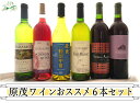 【ふるさと納税】 原茂ワイン 6本 セット 甲州市 エムズギフトが贈る おススメ 日本ワイン 甲州ワイン 赤 白 勝沼 ミディアムボディ 辛口 甘口 母の日 父の日 記念日 ギフト （MG）【E-623】