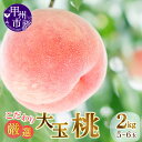 【ふるさと納税】 桃 大玉 2kg 5～6玉入り 甲州市産 