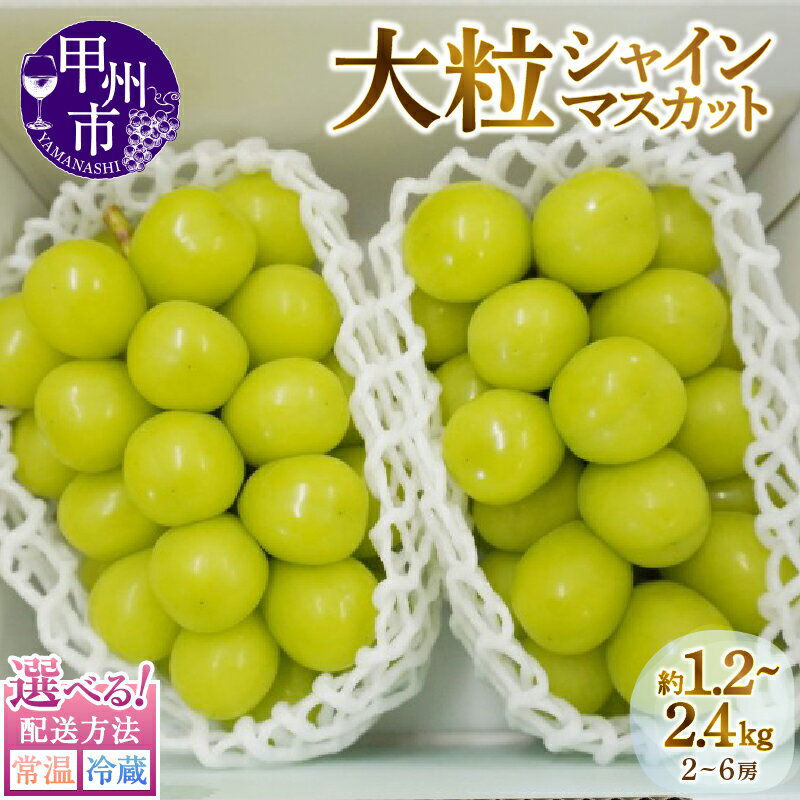 【ふるさと納税】 甲州市産 厳選 大粒 シャインマスカット 2房 ～ 3房 1.2kg 以上 (MG) 【2023年先行予約】【B12-472】山梨県 産地直送 フルーツ ぶどう 葡萄 甘い 大きい 果実 くだもの 人気 マスカット 送料無料 シャインマスカット 山梨 やまなし 大粒のサムネイル