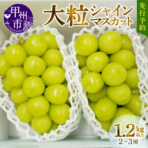 【ふるさと納税】 甲州市産 厳選 大粒 シャインマスカット 2房 ～ 3房 1.2kg 以上 (MG) 【2023年先行予約】【B12-472】山梨県 産地直送 フルーツ ぶどう 葡萄 甘い 大きい 果実 くだもの 人気 マスカット 送料無料 シャインマスカット 山梨 やまなし 大粒