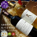 【ふるさと納税】 ワイン 赤 白 720ml 2本 セット ルバイヤート 甲州 辛口 マスカットベーリーA樽貯蔵 ミディアムボディ 赤ワイン 白ワイン 飲み比べ...