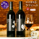 【ふるさと納税】 ワイン 赤ワイン 2本 セット まるき葡萄酒 ラフィーユ 樽 甲斐ノワール アッサンブラージュ ミディアムボディ 母の日 父の日 記念日 ギフ...