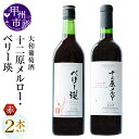 【ふるさと納税】 ワイン 赤ワイン 720ml 2本 セット 赤 大和葡萄酒 十二原メルロー ベリー瑛 飲み比べ ミディアム 国産ワイン お酒 母の日 父の日 ...